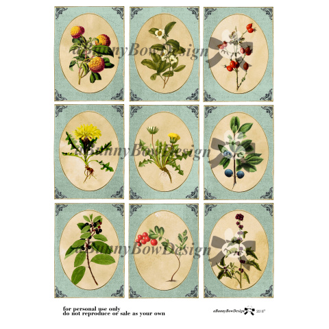 WoodLand Ephemera 02